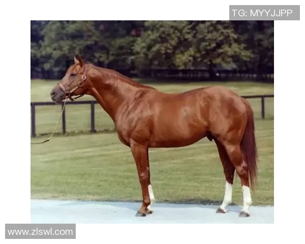 印度首位足球巨星崛起之路与传奇人生的背后故事